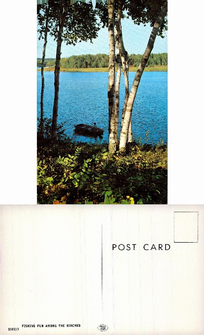 Fishing Boat and Birch Trees by Lake