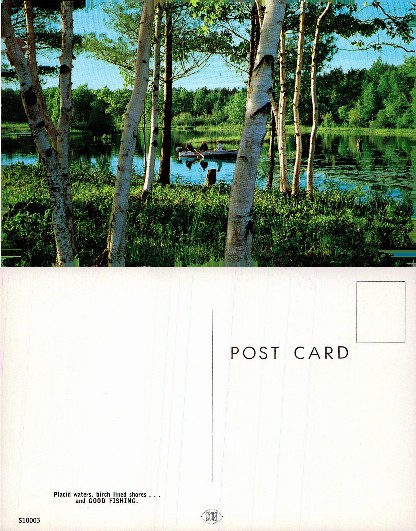 Fishing on a Birch-Lined Lake