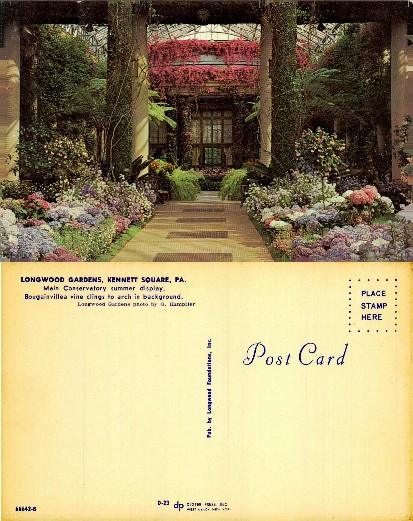 Main Conservatory Summer Display