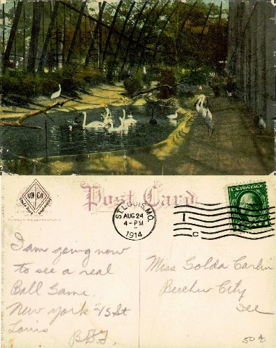 Zoo Bird Pond with Swans and Egrets