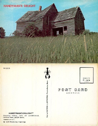 Dilapidated Wooden House in Tall Grass