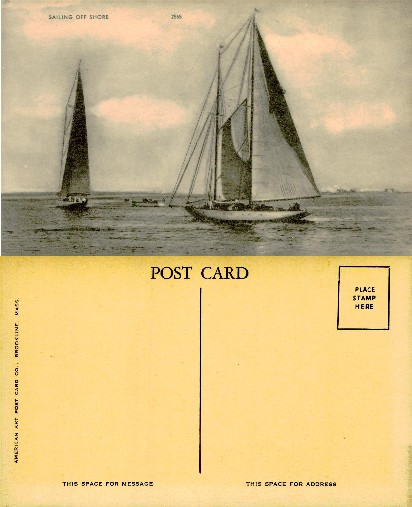 Sailboats on the Water