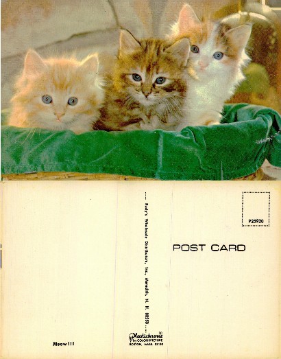 Three Kittens in a Basket