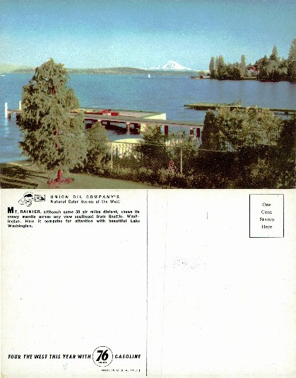 Lake View with Mount Rainier
