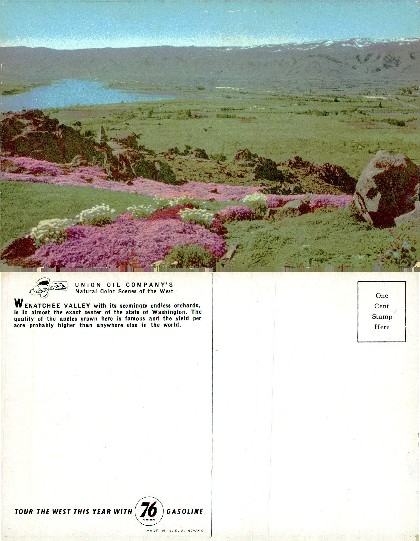 Wenatchee Valley Landscape with Flowers