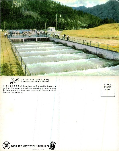 Fish Ladders for Spawning Fish