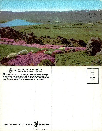 Wenatchee Valley Landscape with Flowers