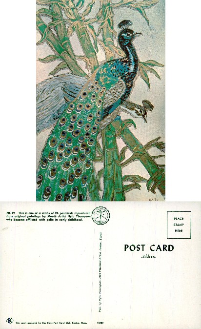 Peacock on Bamboo Branches