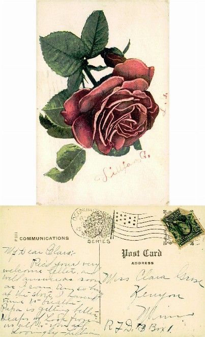 Single Red Rose Illustration