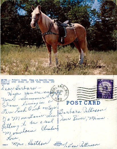 Palomino Horse with Fancy Trappings