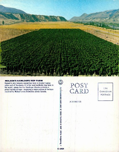 Molson's Kamloops Hop Farm