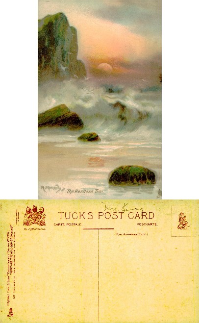 Coastal Scene: The Restless Tide
