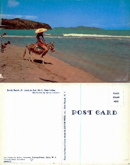 Person Riding Donkey on Tropical Beach
