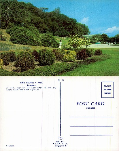Park Landscape with Foliage and People