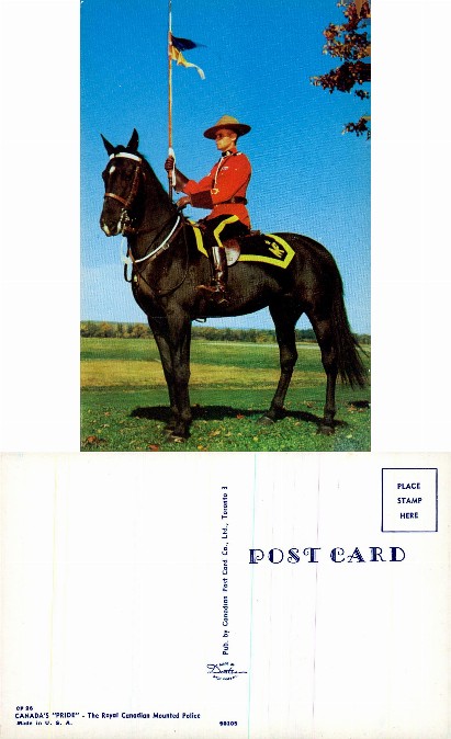 Mounted Police Officer with Flag on Horse