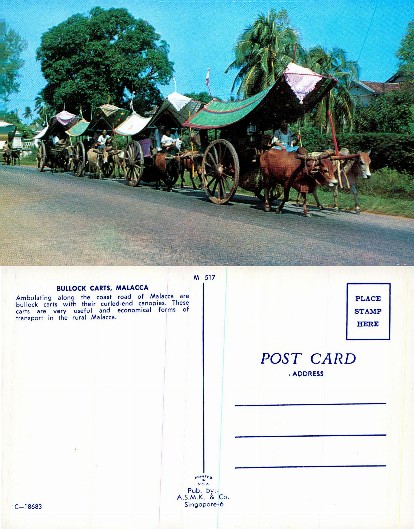 Bullock Carts on Road with Canopies
