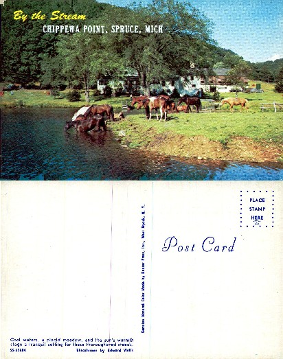 Horses by a Stream at Chippewa Point