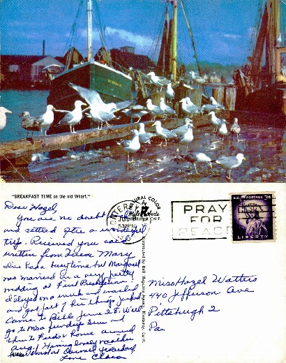 Seagulls on a Wharf with Fishing Boats
