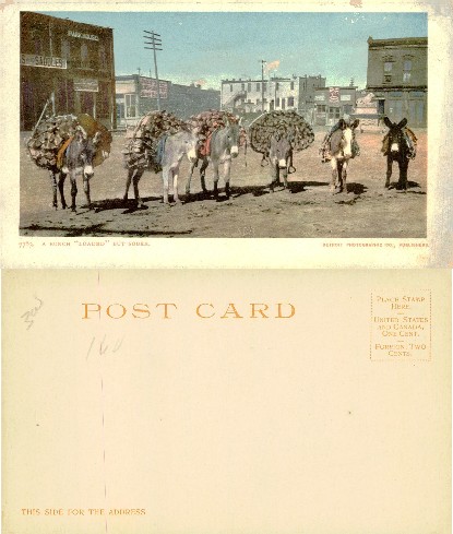 Donkeys Carrying Loads on Dirt Street