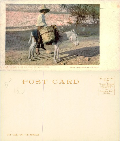 Person Riding Donkey with Basket