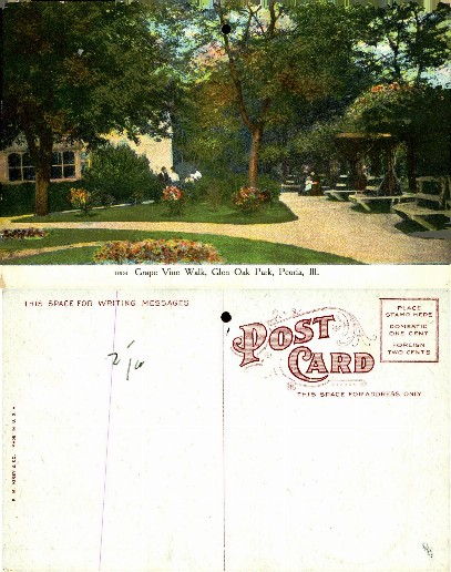 Grape Vine Walk in Glen Oak Park