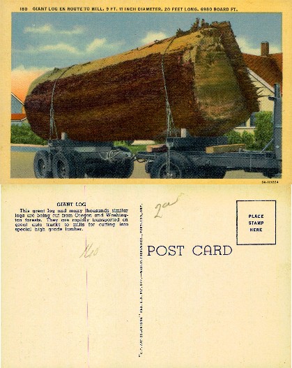 Giant Log En Route to Mill