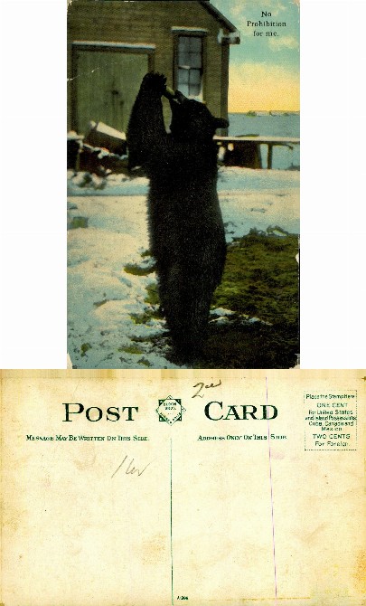 Bear Drinking from Bottle in Snow