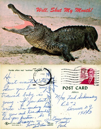 Alligator with Open Mouth