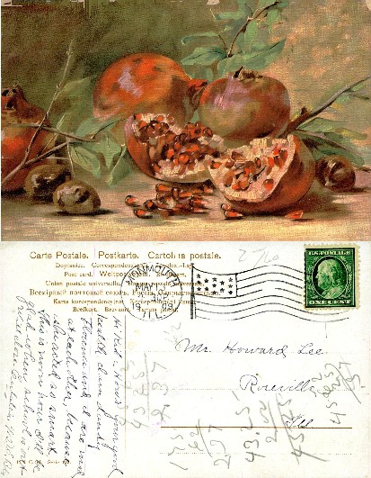 Still Life of Pomegranates