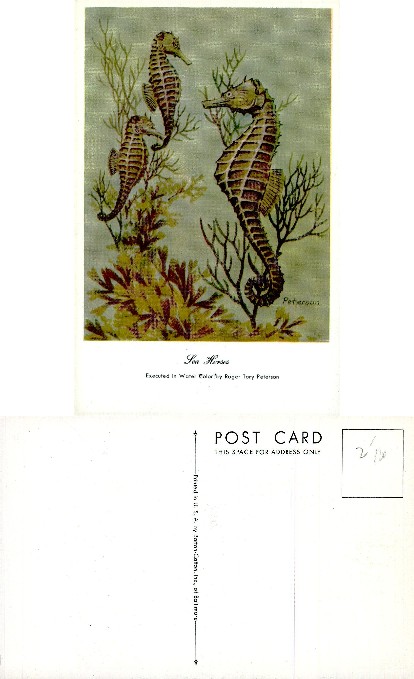 Three Seahorses in Watercolor