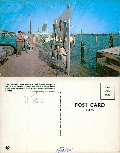 Fish Displayed on Fishing Pier