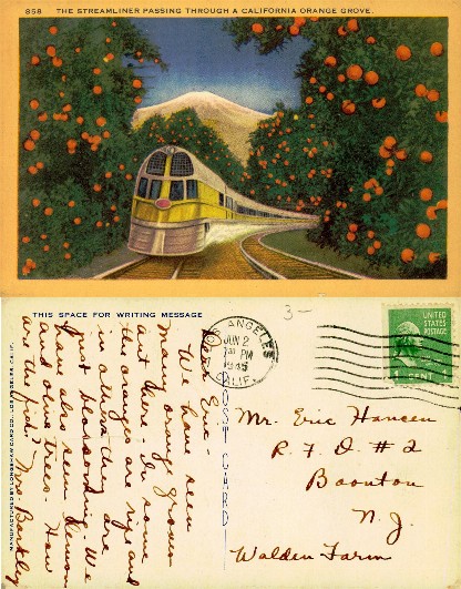Streamliner Train in California Orange Grove