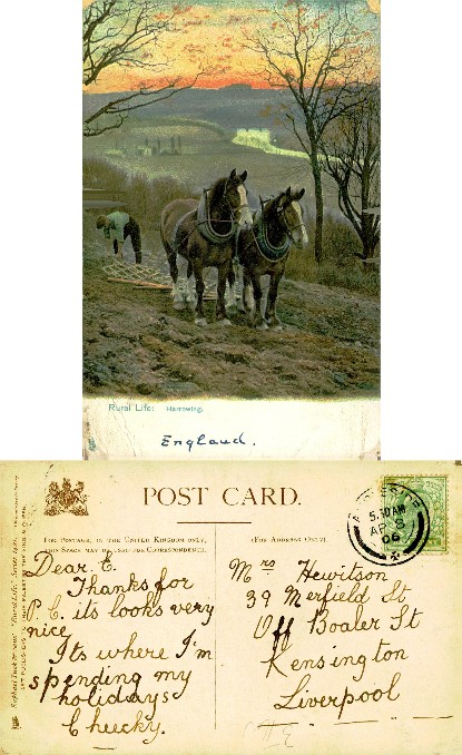Rural Scene: Farmer Harrowing Field