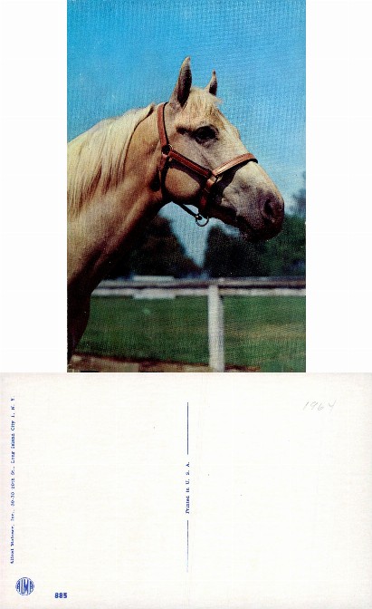 Head of a Palomino Horse