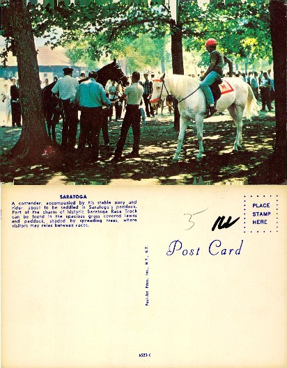 Racehorses & Riders in Saratoga Paddock