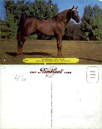Horse and Roadside Cafe Sign