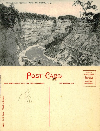 Genesee River Gorge View