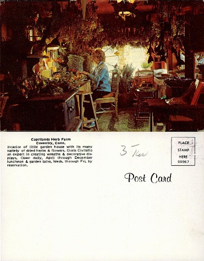 Woman Working in Herb Farm Interior