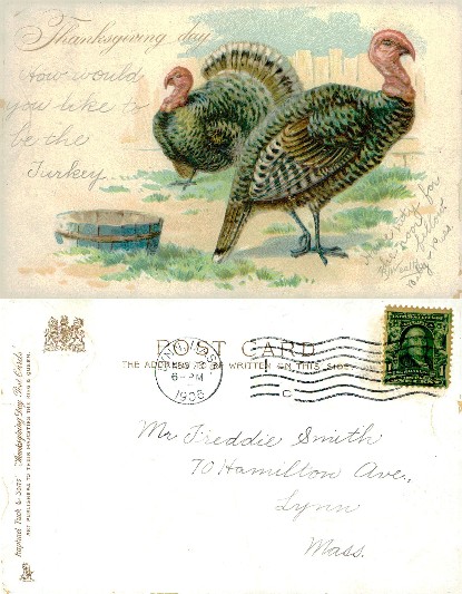 Thanksgiving Turkeys with Bucket