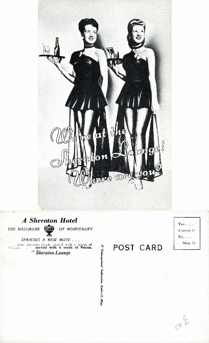 Women Serving Drinks in a Lounge