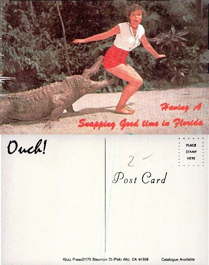 Woman recoiling from alligator