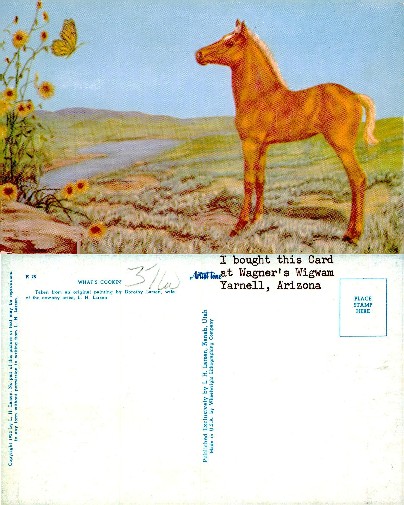 Foal and Butterfly in Scenic Landscape