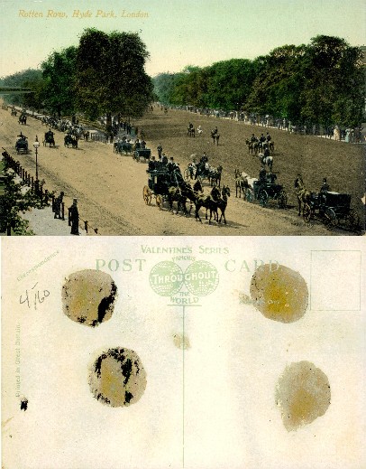 Horse Carriages and Riders in Park