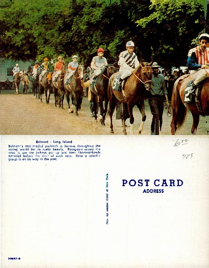 Jockeys & Horses in Belmont Paddock