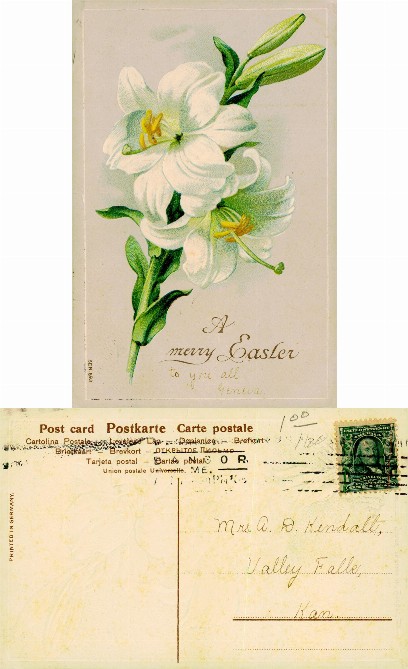 White Easter Lilies