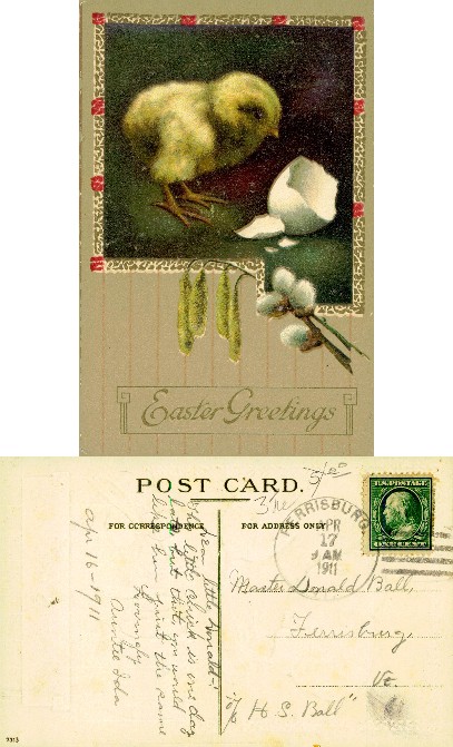 Chick with Eggshell and Pussy Willow