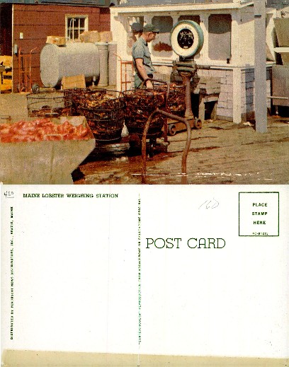 Maine Lobster Weighing Station
