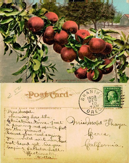 Red Apples on Branch, Oregon Orchard