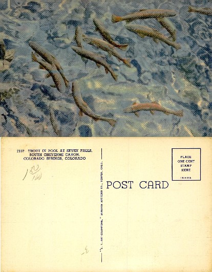 Trout in Pool at Seven Falls