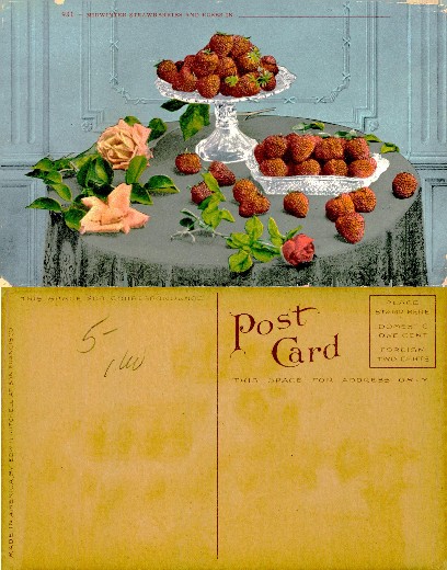 Midwinter Strawberries and Roses Still Life